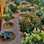 Senteurs Du Maquis 4* Porticcio (Corsica)
