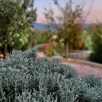 Senteurs Du Maquis 4* Porticcio (Corsica)