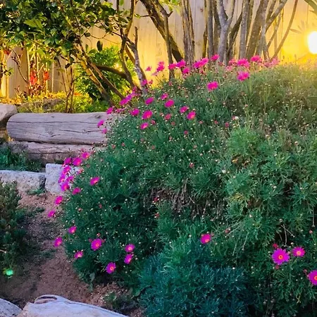 Casa de hóspedes Senteurs Du Maquis