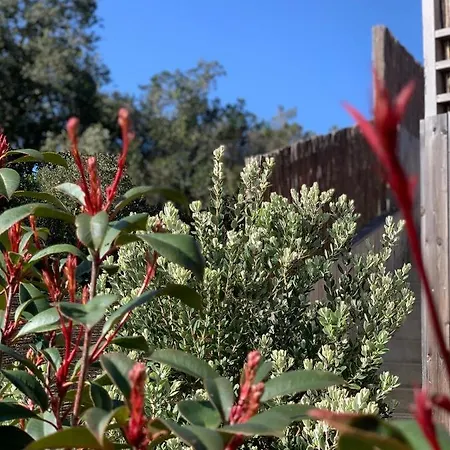 Senteurs Du Maquis Porticcio (Corsica)