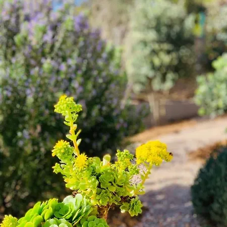 Senteurs Du Maquis Porticcio (Corsica)