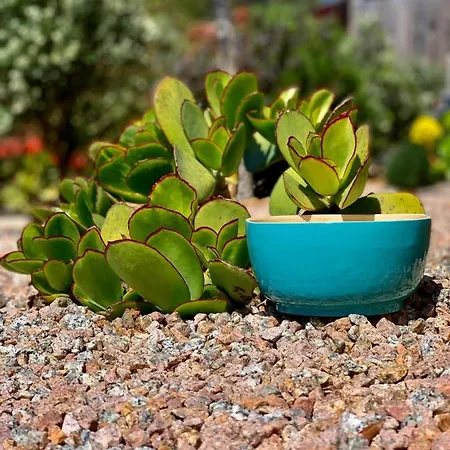 Senteurs Du Maquis 4*