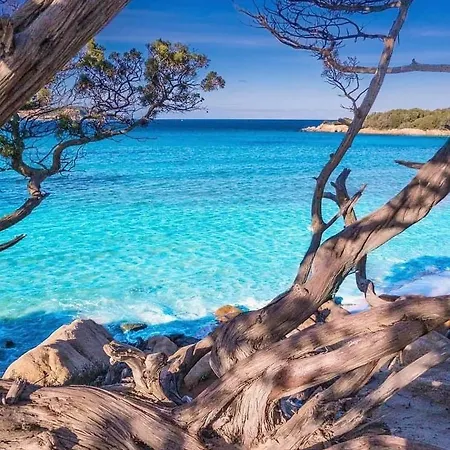 Casa de hóspedes Senteurs Du Maquis