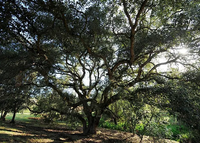Senteurs Du Maquis Πανσιόν
