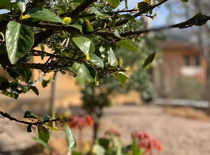 Senteurs Du Maquis 4* Porticcio (Corsica)