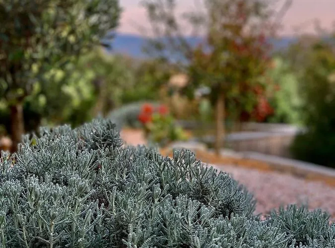 Senteurs Du Maquis 4* Porticcio (Corsica)