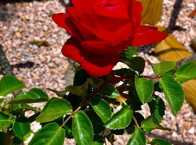 Senteurs Du Maquis 4*