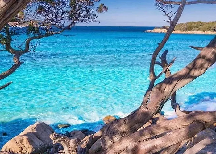 Πανσιόν Senteurs Du Maquis