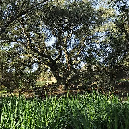 Senteurs Du Maquis 4* Porticcio (Corsica)