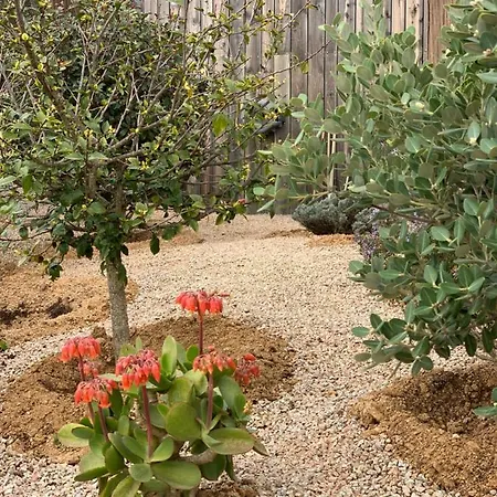 Senteurs Du Maquis Penzion 4*