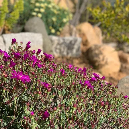 Senteurs Du Maquis Maison d'hôtes Porticcio (Corsica)