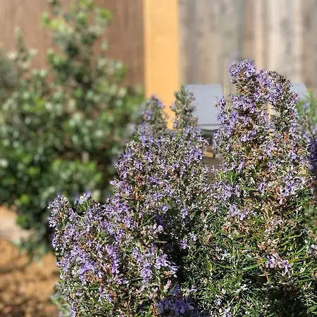 Senteurs Du Maquis 4* Porticcio (Corsica)