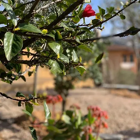 Senteurs Du Maquis 4* Porticcio (Corsica)