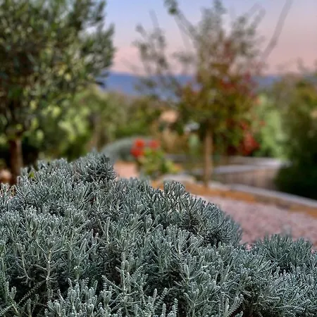 Senteurs Du Maquis 4* Porticcio (Corsica)