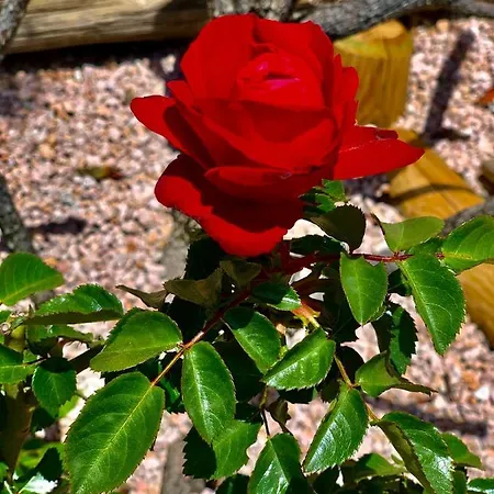 Senteurs Du Maquis 4*