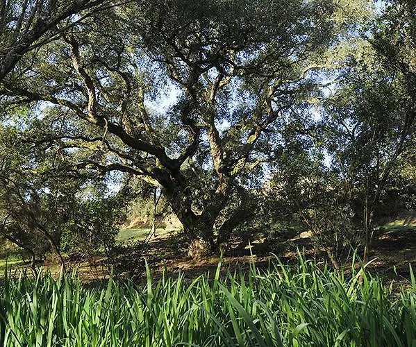 Senteurs Du Maquis 4* Портисьо