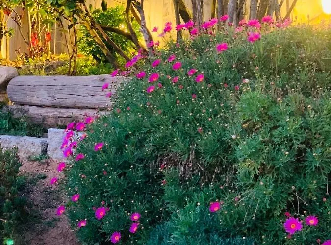 Гостевой дом Senteurs Du Maquis