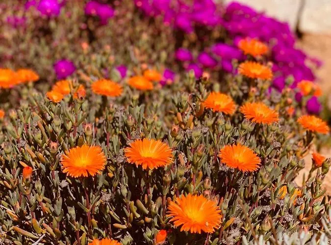 Senteurs Du Maquis 4* Портисьо