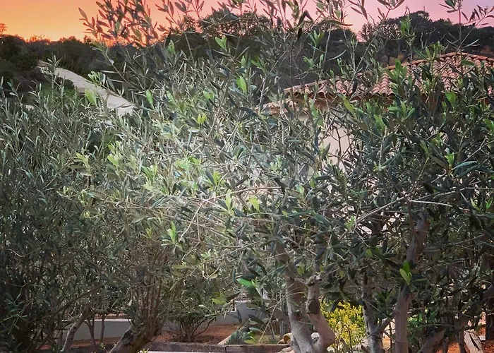 Гостевой дом Senteurs Du Maquis