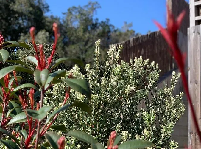 Senteurs Du Maquis Портисьо