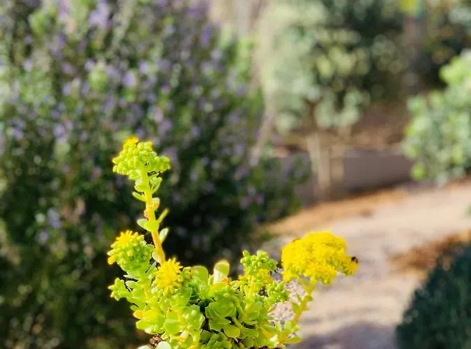 Senteurs Du Maquis Портисьо